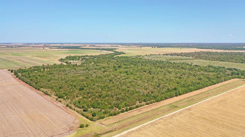 Snook, TX 77878,123.8 Ac County Road 443