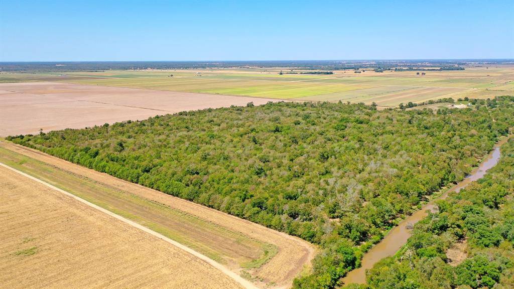 Snook, TX 77878,123.8 Ac County Road 443