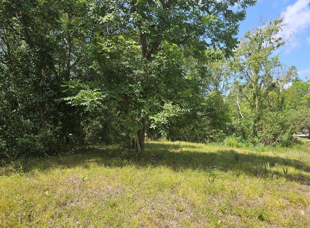 West Columbia, TX 77486,0 TBD CR 825E ST