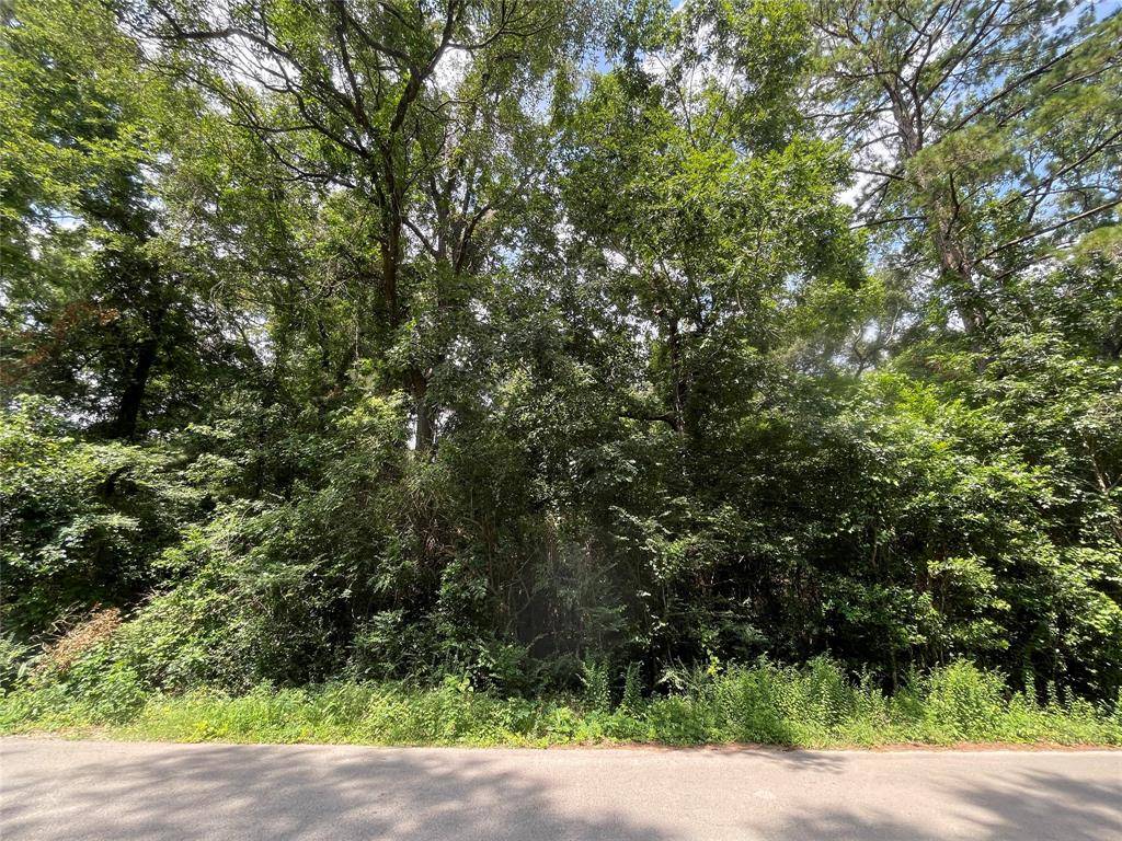 Woodbranch, TX 77357,Lot 183 Maple LN