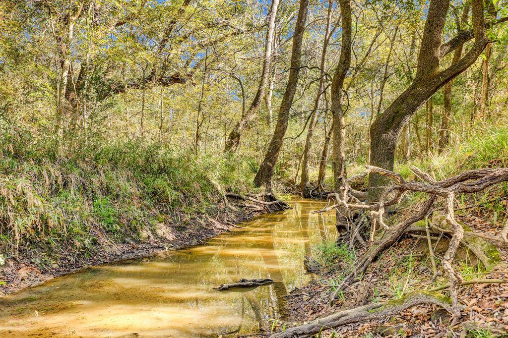 Damon, TX 77430,000 County Road 509 Off County Rd