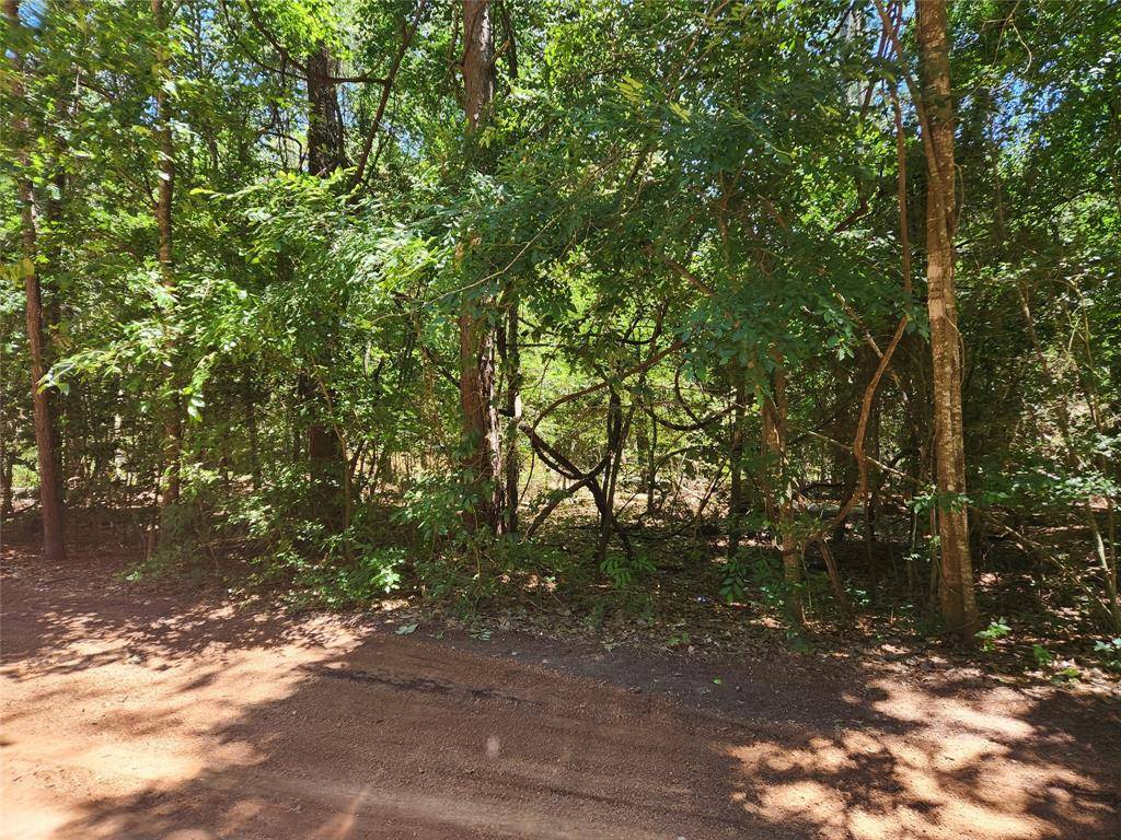 Plantersville, TX 77363,Lot 1 Thornwood DR