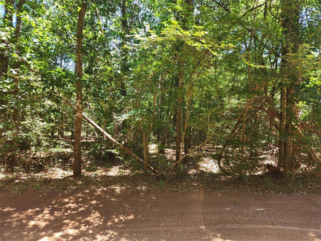 Plantersville, TX 77363,Lot 1 Thornwood DR