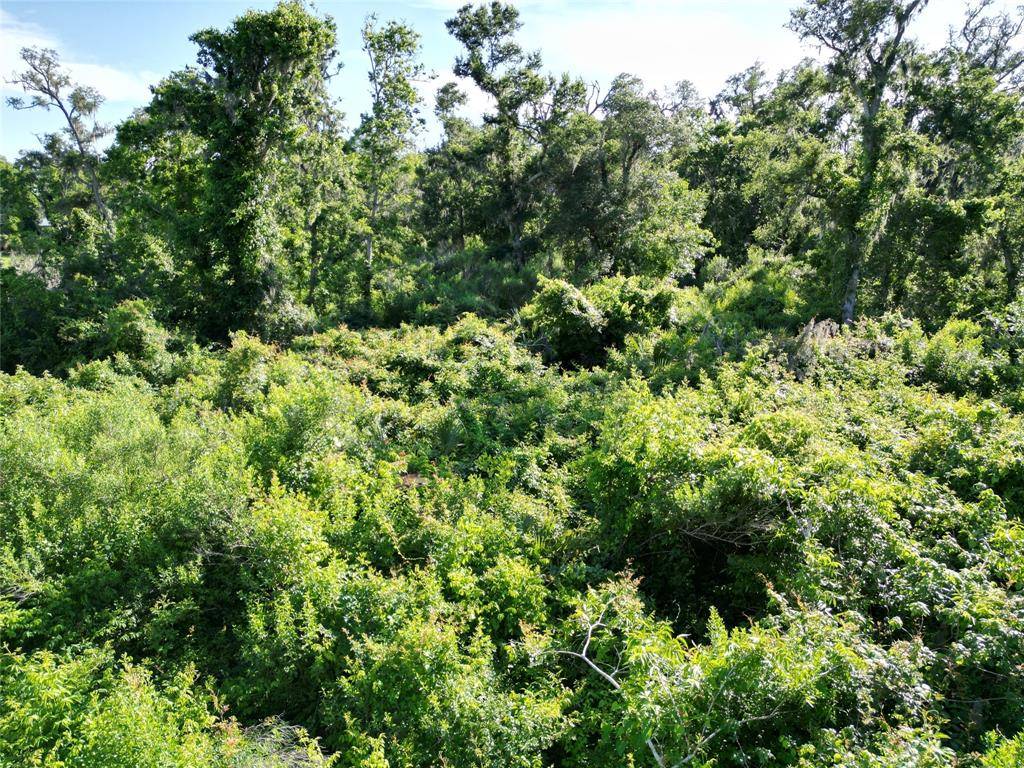 Brazoria, TX 77422,2743 County Road 686