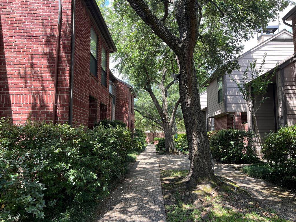 Houston, TX 77054,7447 Cambridge ST #18