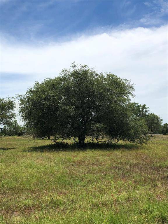 Hallettsville, TX 77964,Lot 8 PVT 1671