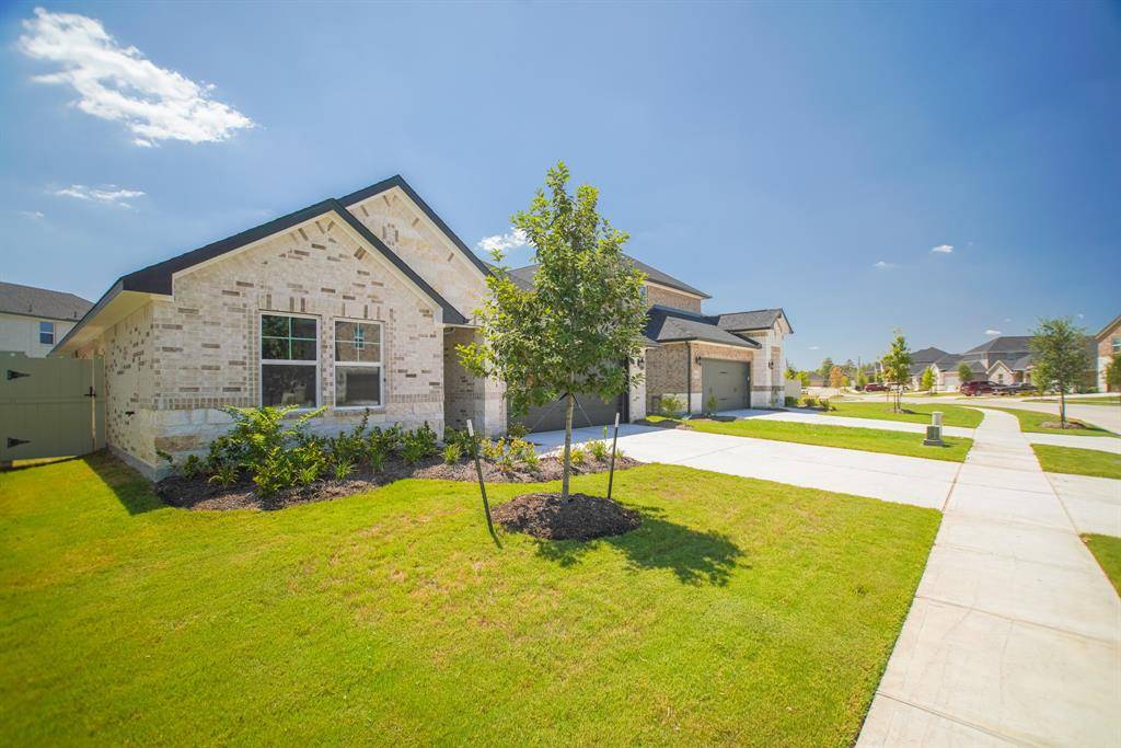 Conroe, TX 77385-2264,9852 Pearly Everlasting