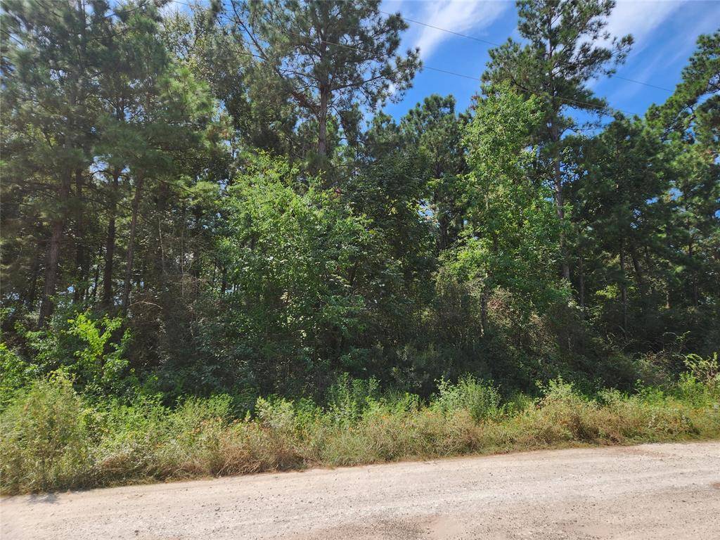 Plantersville, TX 77363,Lot 5 Tawnyberry LN