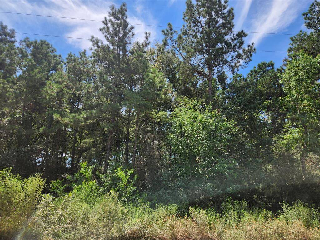 Plantersville, TX 77363,Lot 5 Tawnyberry LN