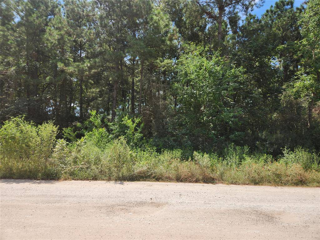 Plantersville, TX 77363,Lot 5 Tawnyberry LN