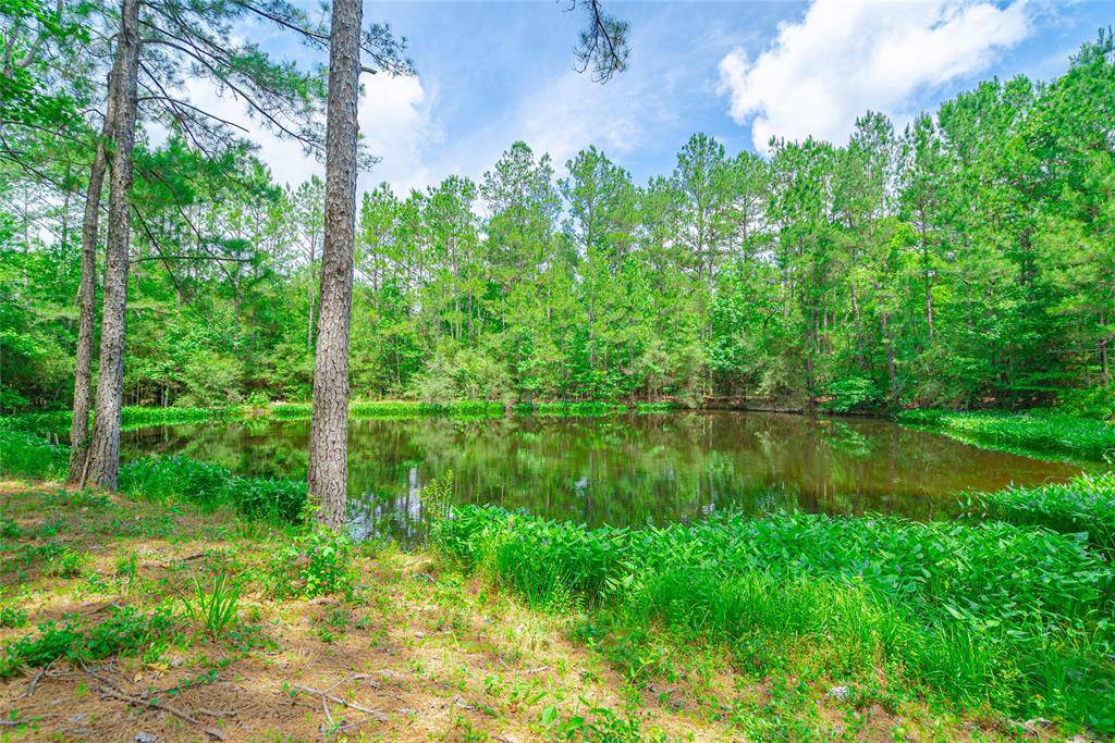 Chester, TX 75936,0 Timber Road 23