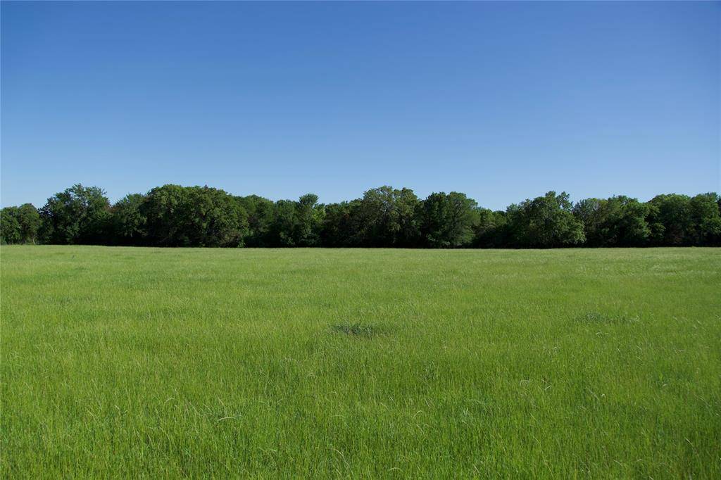 Paige, TX 78659,TBD Tract 2 St Delight RD