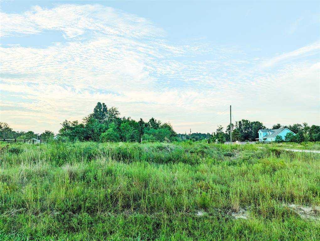 Cleveland, TX 77327,Road 3559