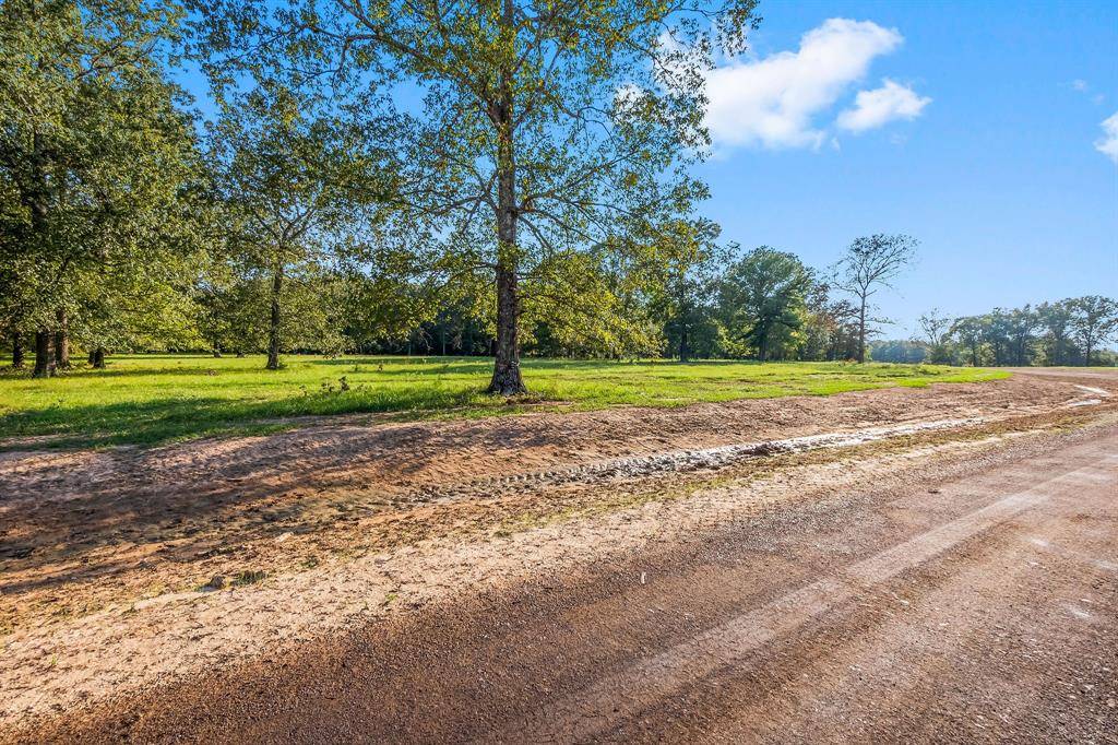 New Waverly, TX 77358,Lot 12 Alans Memorial Lane