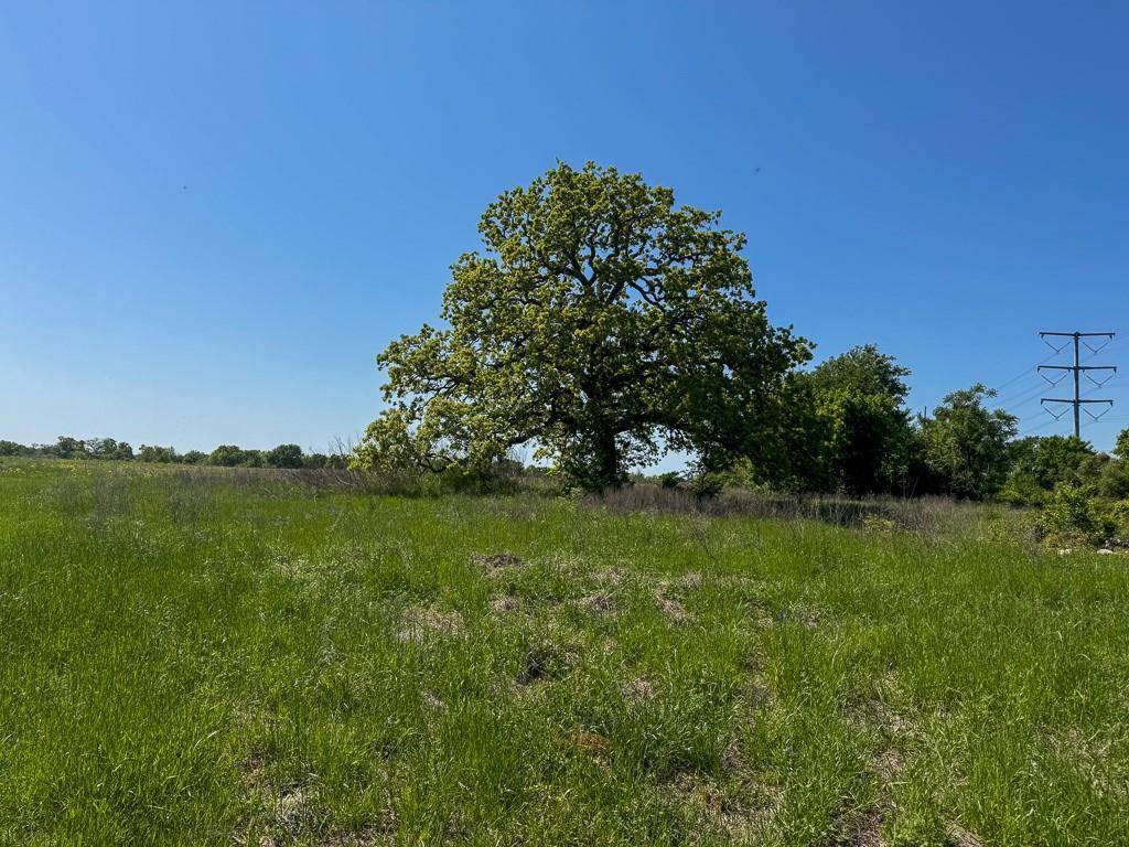 Iola, TX 77861,Tract # 1 County Road 123