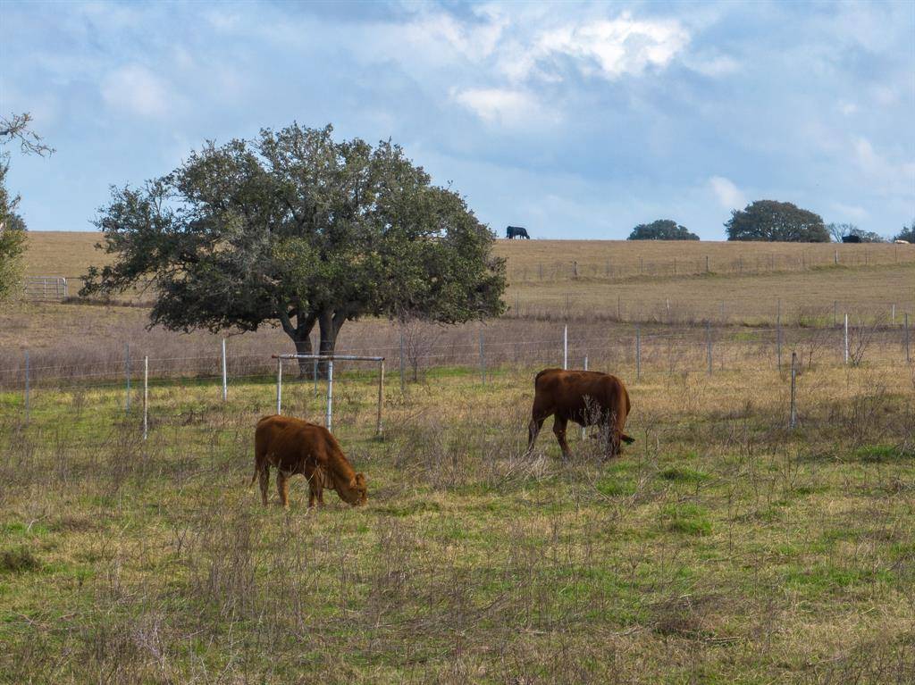 Yoakum, TX 77995,1756 Steinmann RD