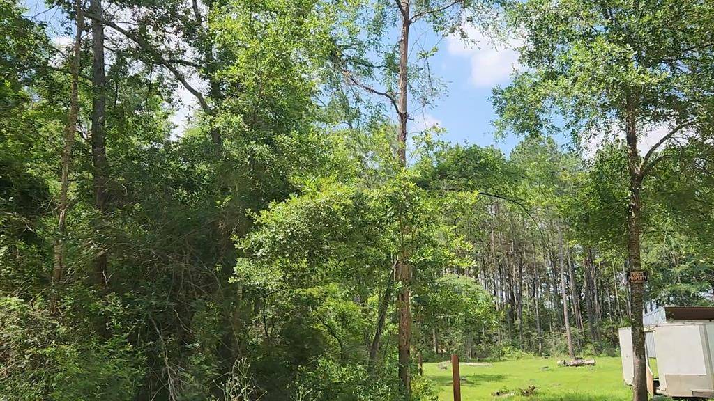 Plantersville, TX 77363,Lot 5 Pin Oak DR