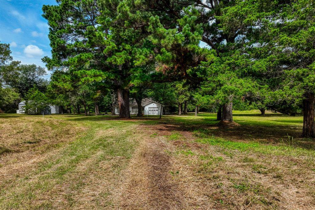 Carmine, TX 78932,5577 Fm 1697