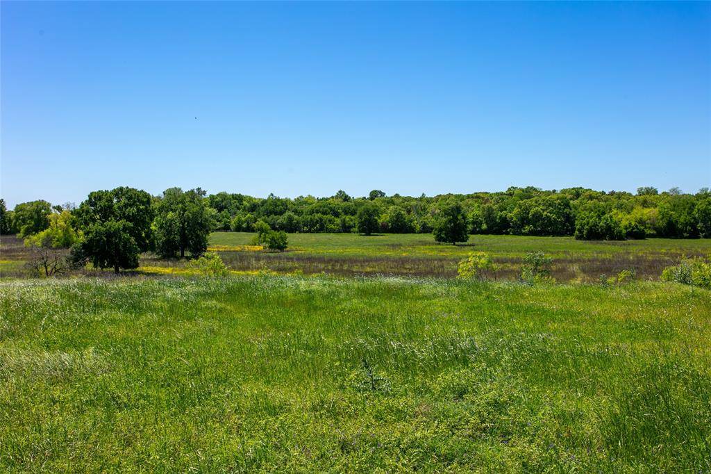 Caldwell, TX 77836,Lot 17A Brazos CT