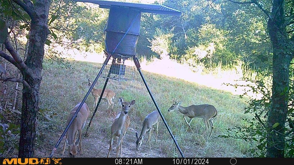 Garwood, TX 77442,0 Sandy Creek RD
