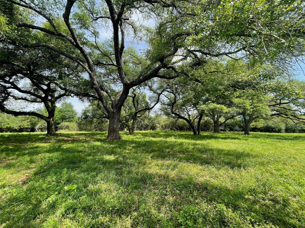 Hockley, TX 77447,26039 Magnolia LOT 4 RD