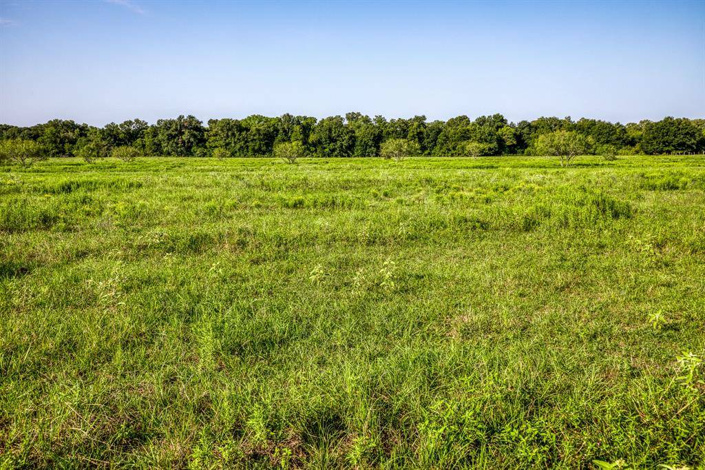 Caldwell, TX 77836,TBD (32.5 acres) Davidson Branch Road RD