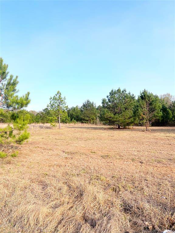 Cleveland, TX 77327,Tract 4 County Road 306