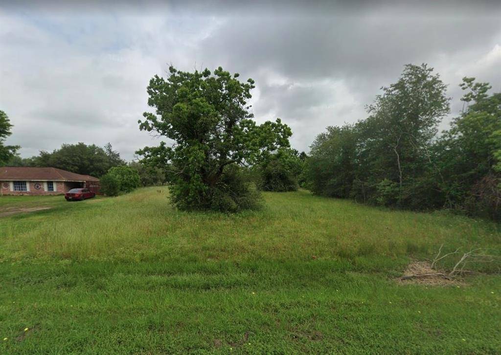 Prairie View, TX 77446,Lot 12 Lily ST