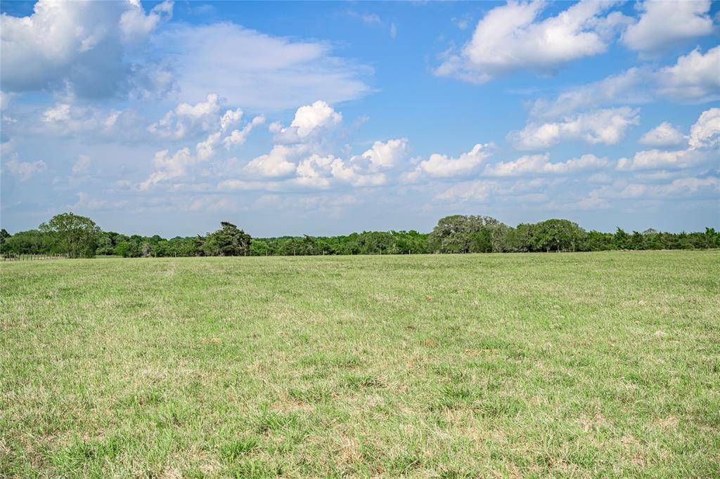 Fayetteville, TX 78940,9150 Bauer RD