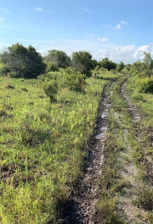 Anahuac, TX 77514,0000 Jenkins Road