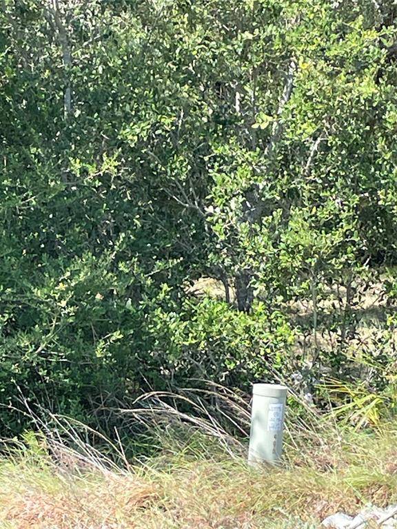 Rockport, TX 78382,520 W James ST