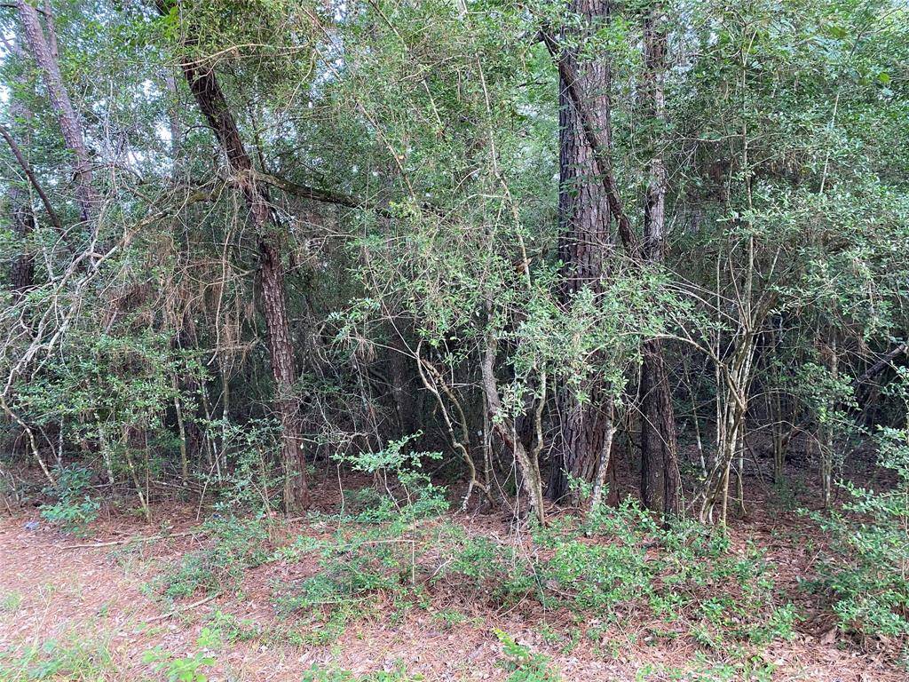 Plantersville, TX 77363,TBD Greenway DR