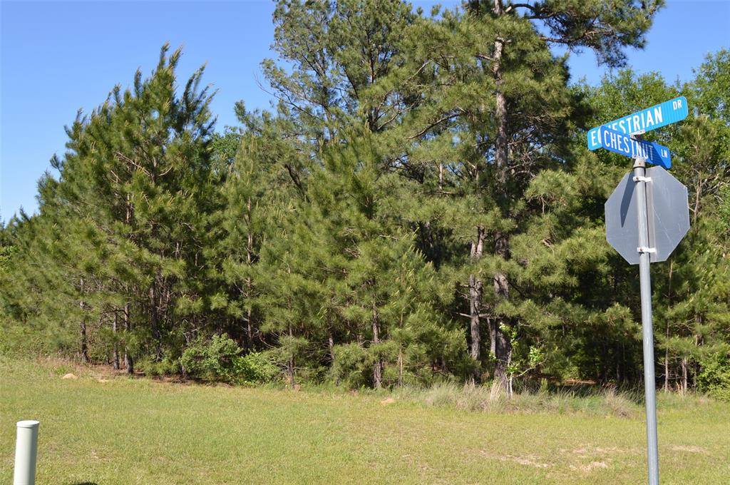Waller, TX 77484,17905 Chestnut DR