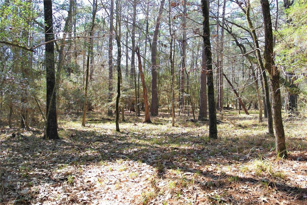 Trinity, TX 75862,Lot 5 Magnolia