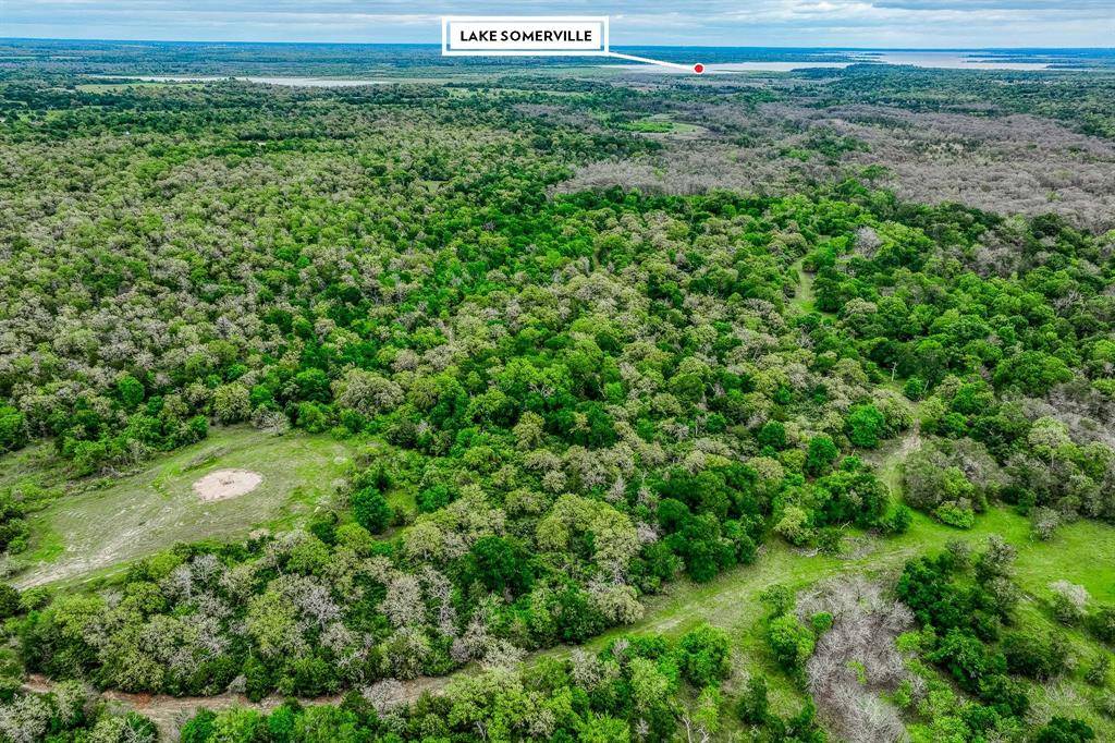 Ledbetter, TX 78946,TBD (349.84 Acres) County Road 125