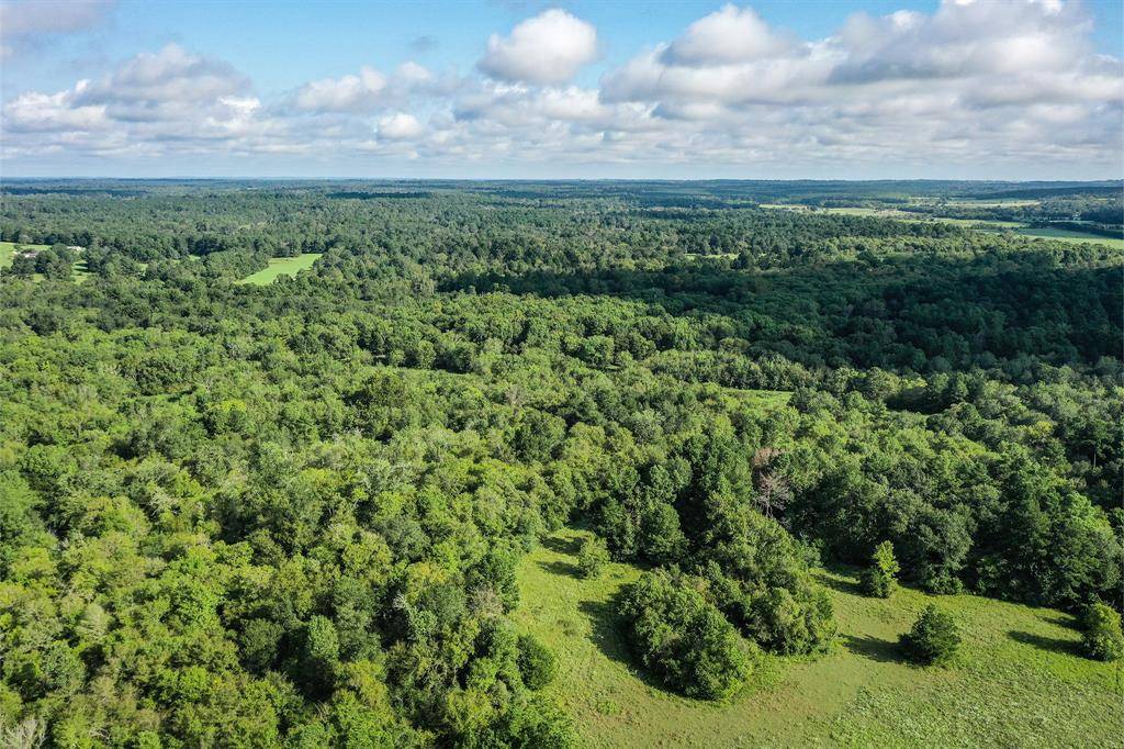 Huntsville, TX 77340,70 Acres FM 1374
