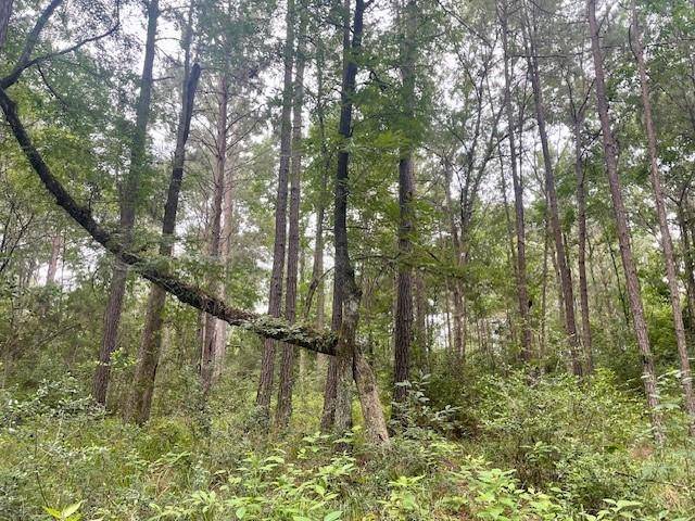 Huntsville, TX 77340,00000 Lonestar RD