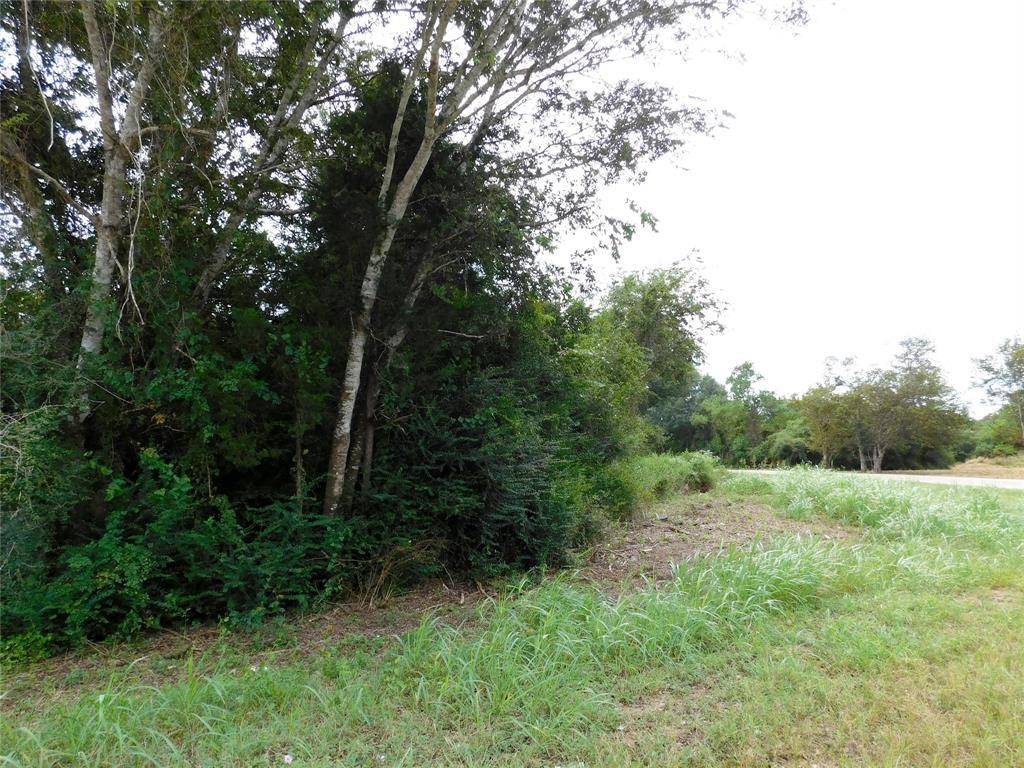 Alleyton, TX 78935,000 TBD Ramsey RD