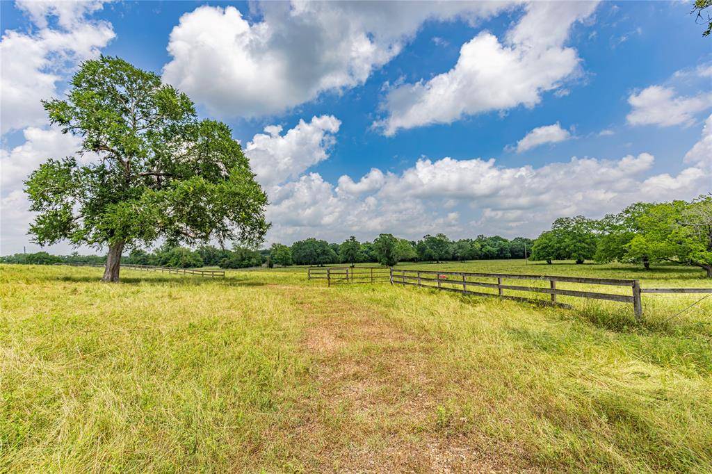 New Ulm, TX 78950,3148 Mill Creek Ranch Rd