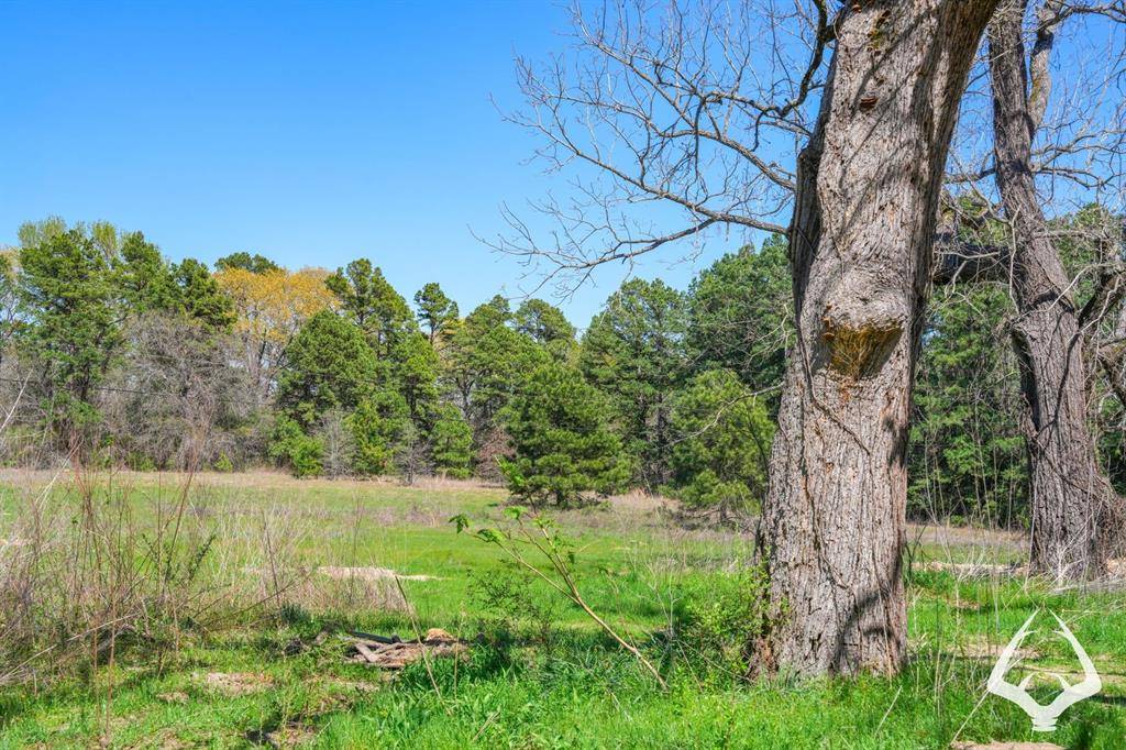 Palestine, TX 75801,TBD Fm 323