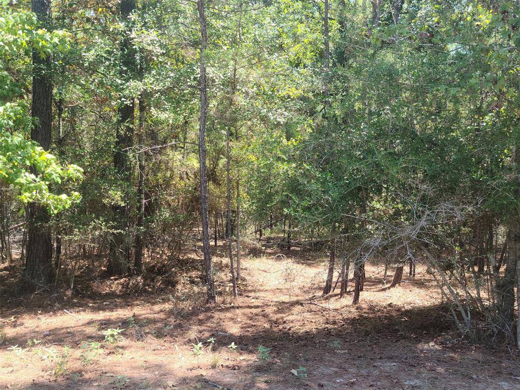 Trinity, TX 75862,Lot 24 Pinewood DR