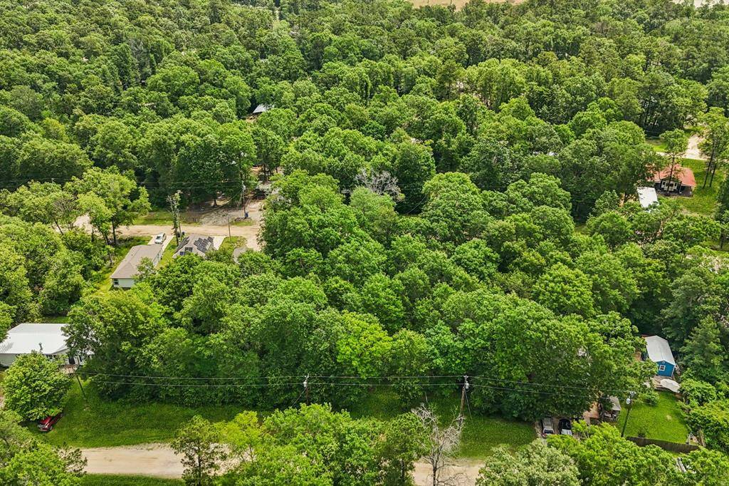 Livingston, TX 77351,336 Ithica