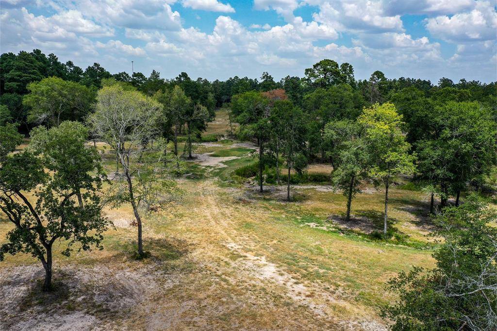 Huntsville, TX 77320,20 Ac Tract 4A Legacy Estates