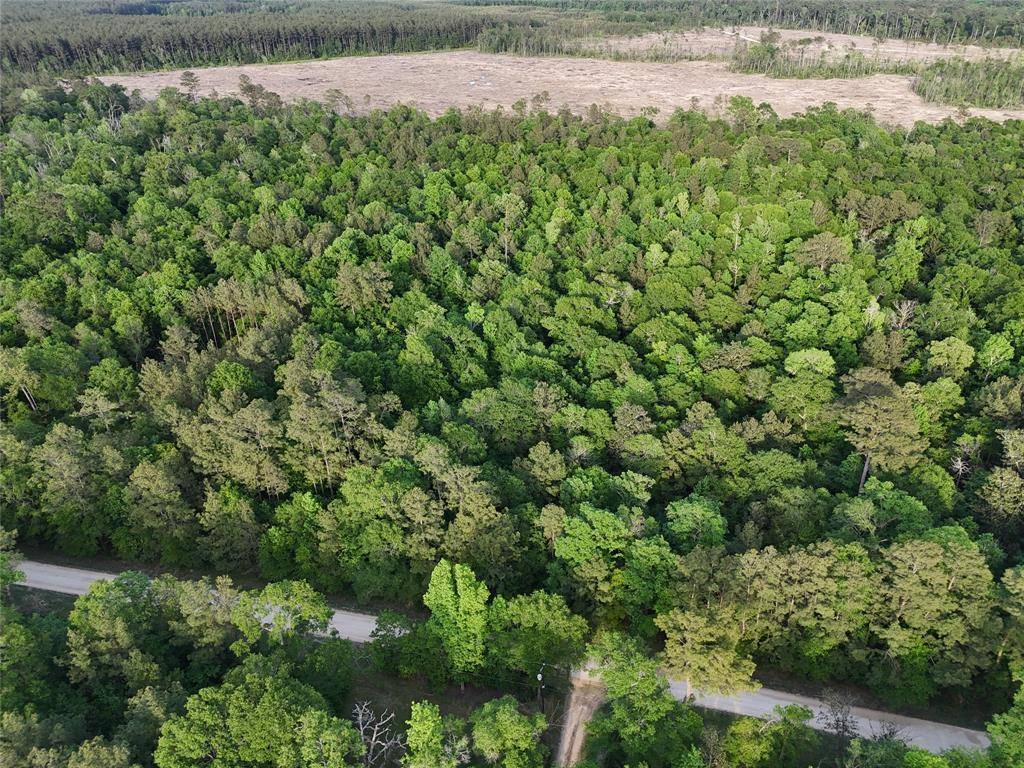 Rye, TX 77369,000 Outlaw Bend  Road