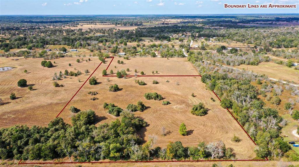 Bedias, TX 77831,Lot 12 County Rd 229