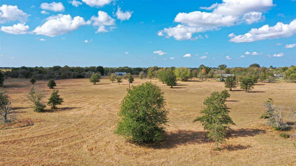 Bedias, TX 77831,Lot 12 County Rd 229