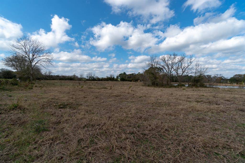 Plantersville, TX 77363,TBD County Road 204