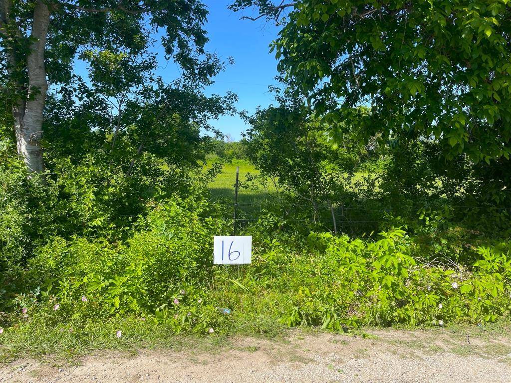 Wharton, TX 77488,Lot 16 Reed AVE