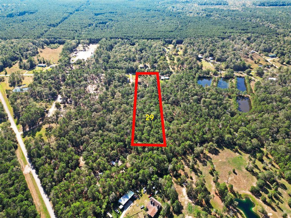 Cleveland, TX 77328-6204,Lot 29 Sims Road