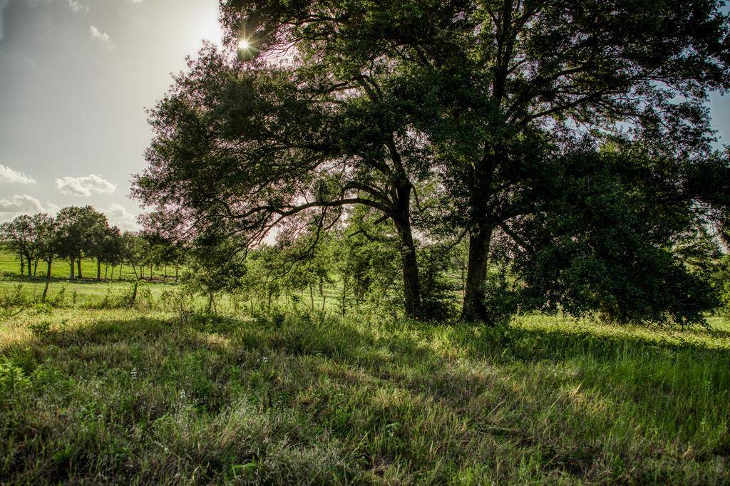 Chappell Hill, TX 77426,7487 Kramer RD